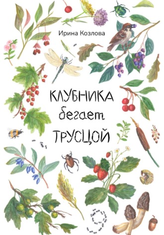 Ирина Козлова. Клубника бегает трусцой