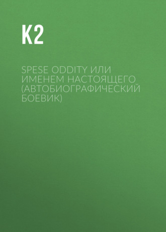 К2. Space Oddity (автобиографический квест)
