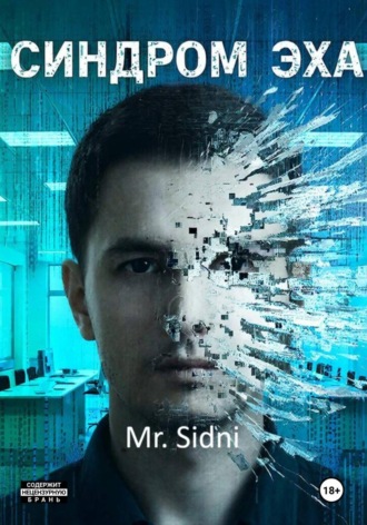 Mr. Sidni. Синдром эха
