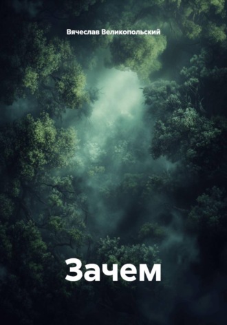 Вячеслав Великопольский. Зачем
