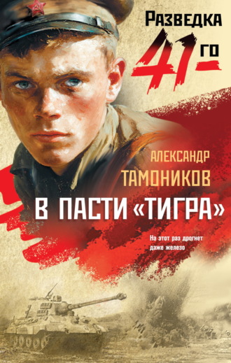 Александр Тамоников. В пасти «тигра»