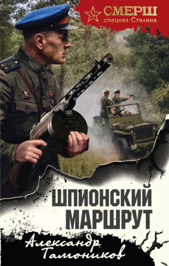 Александр Тамоников. Шпионский маршрут