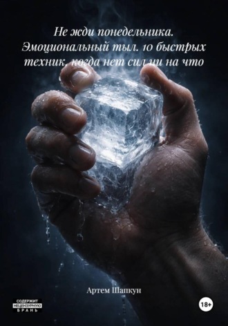 Артем Алексеевич Шапкун. Не жди понедельника. Эмоциональный тыл. 10 быстрых техник, когда нет сил ни на что