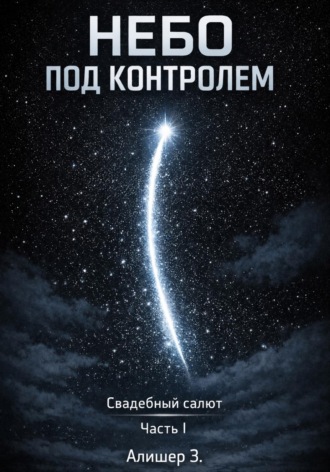 . Небо под контролем. Свадебный салют. Часть I