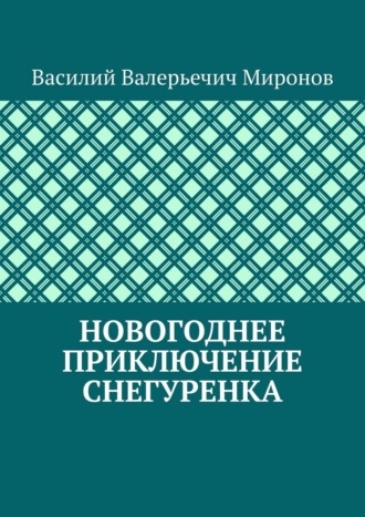 Василий Валерьечич Миронов. Новогоднее приключение Снегуренка