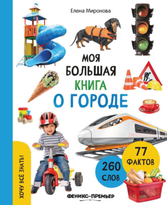 Елена Миронова. Моя большая книга о городе