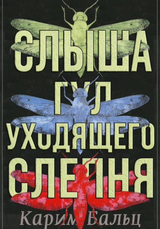 Карим Бальц. Слыша гул уходящего слепня