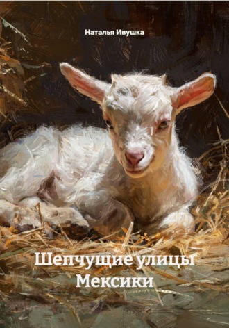 . Шепчущие улицы Мексики