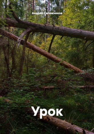Андрей Олегович Сапожников. Урок