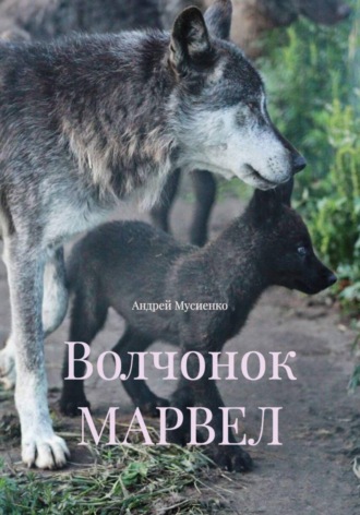 Андрей Валерьевич Мусиенко. Волчонок МАРВЕЛ