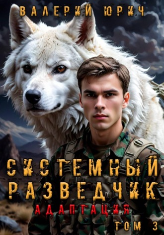 Валерий Юрич. Системный разведчик. Адаптация. Том 3