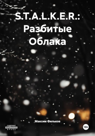 Максим Александович Фильков. S.T.A.L.K.E.R.: Разбитые Облака