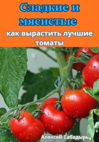Алексей Сабадырь. Сладкие и мясистые как вырастить лучшие томаты