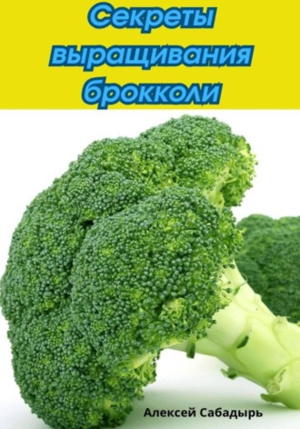 Алексей Сабадырь. Секреты выращивания брокколи