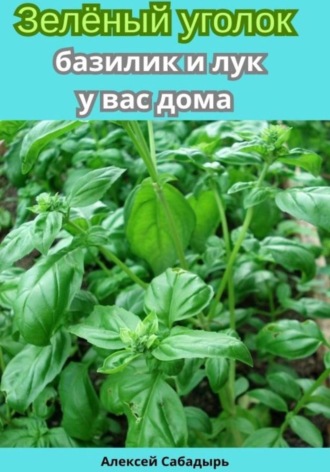 Алексей Сабадырь. Зелёный уголок базилик и лук у вас дома