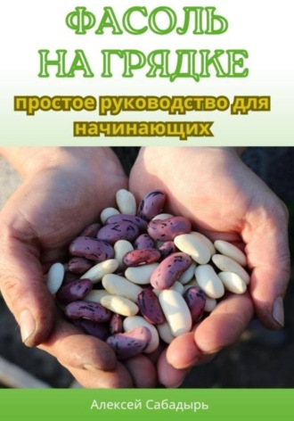 . Фасоль на грядке: простое руководство для начинающих