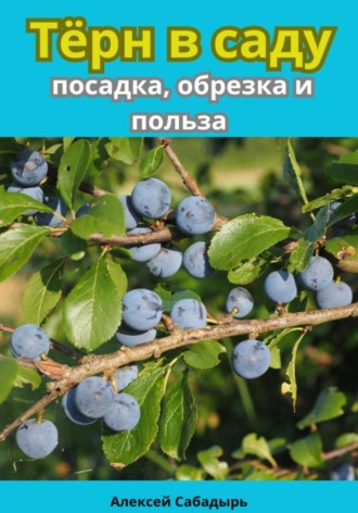 Алексей Сабадырь. Тёрн в саду посадка, обрезка и польза