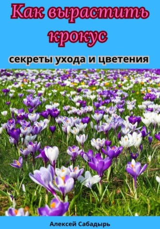 Алексей Сабадырь. Как вырастить крокус секреты ухода и цветения