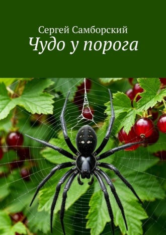 Сергей Самборский. Чудо у порога