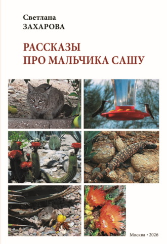 Светлана Захарова. Рассказы про мальчика Сашу