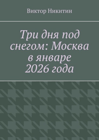 . Три дня под снегом: Москва в январе 2026 года
