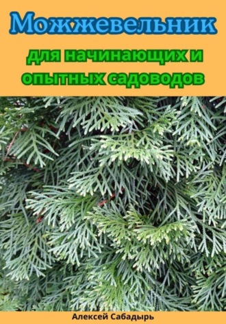 . Можжевельник для начинающих и опытных садоводов