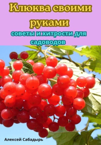 . Клюква своими руками советы и хитрости для садоводов