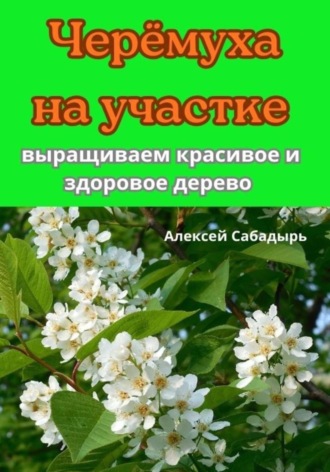 Алексей Сабадырь. Черёмуха на участке выращиваем красивое и здоровое дерево
