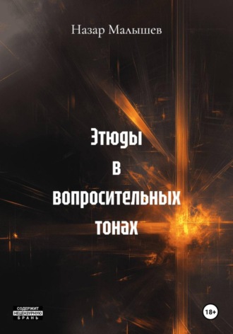 Назар Малышев. Этюды в вопросительных тонах