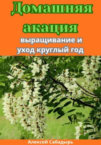 Алексей Сабадырь. Домашняя акация: выращивание и уход круглый год
