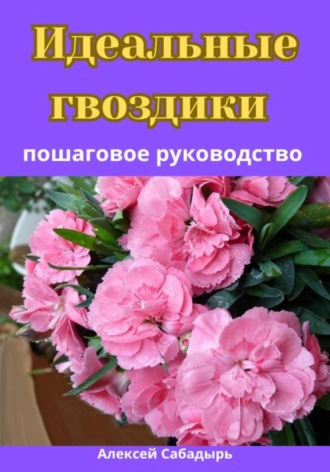 Алексей Сабадырь. Идеальные гвоздики пошаговое руководство