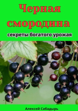 Алексей Сабадырь. Черная смородина секреты богатого урожая