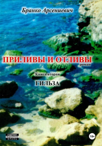 Бранко Арсениевич. Приливы и отливы. Книга вторая. Гильза