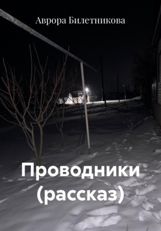 Аврора Билетникова. Проводники (рассказ)