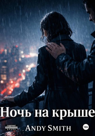 Andy Smith. Ночь на крыше