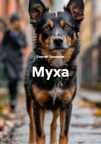 Сергей Пряников. Муха