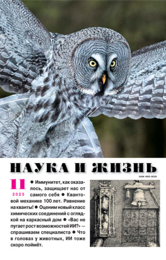 . Наука и жизнь №11/2025