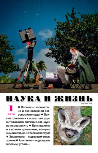 . Наука и жизнь №01/2026