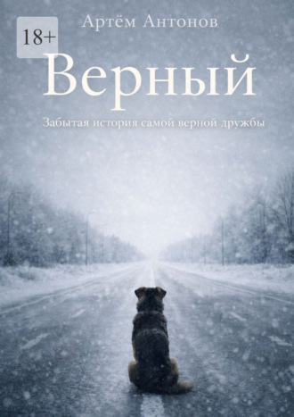 Артём Антонов. Верный