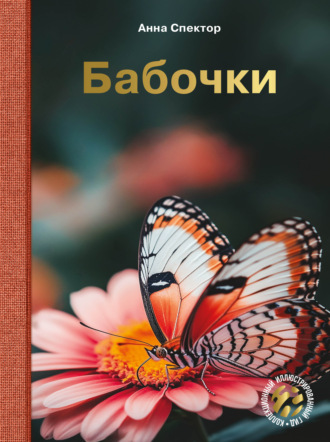 . Бабочки