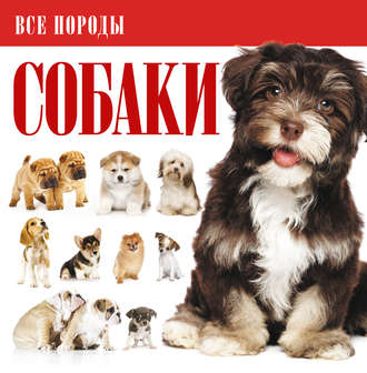 . Собаки