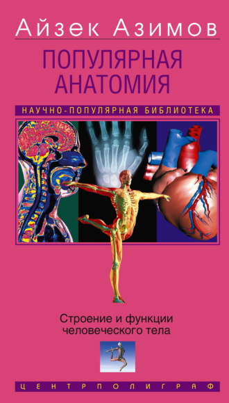 . Популярная анатомия. Строение и функции человеческого тела