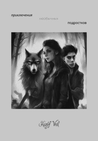 Night Veil. Приключения необычных подростков