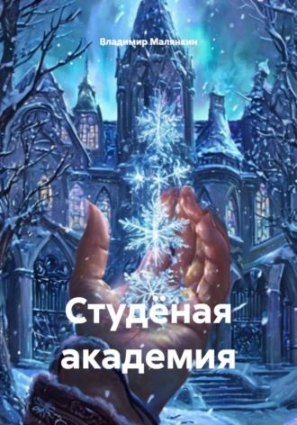Владимир Юрьевич Малянкин. Студёная академия