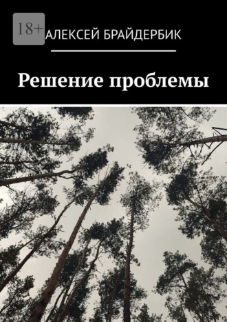 Алексей Брайдербик. Решение проблемы