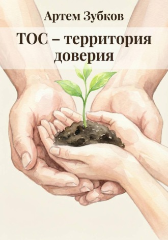 Артем Зубков. ТОС – территория доверия