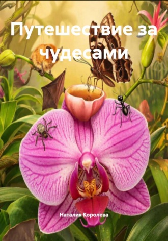 Наталия Королева. Путешествие за чудесами