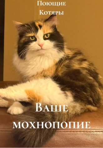 Поющие Котяры. Ваше мохнопопие