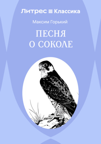 . Песня о Соколе