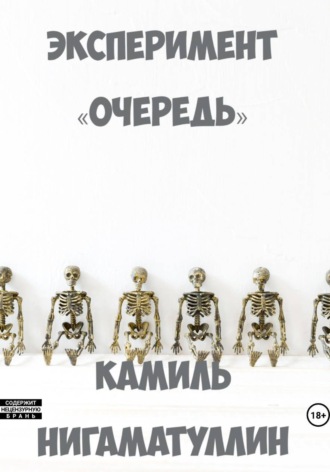 Камиль Нигаматуллин. Эксперимент «Очередь»